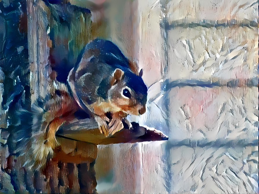 Squirrel