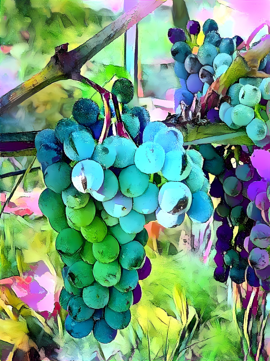 Grapes