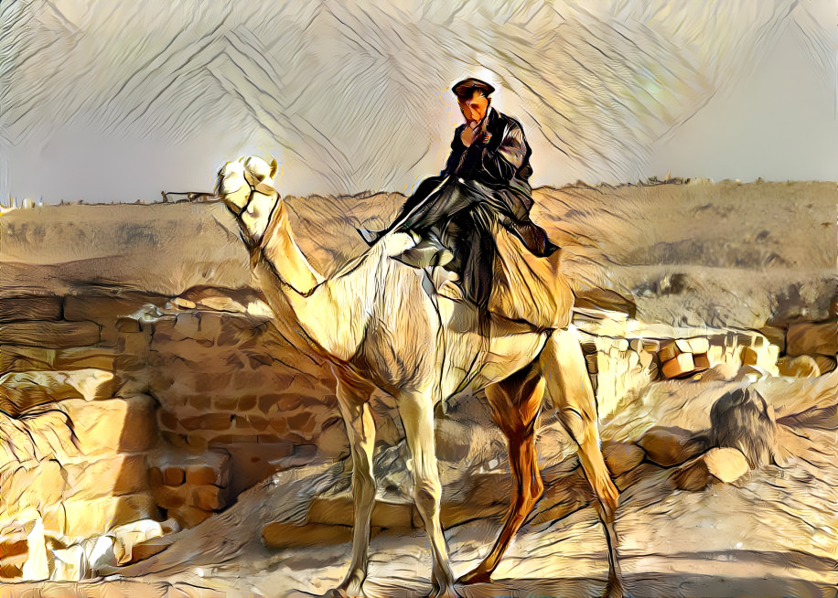 Camel ride