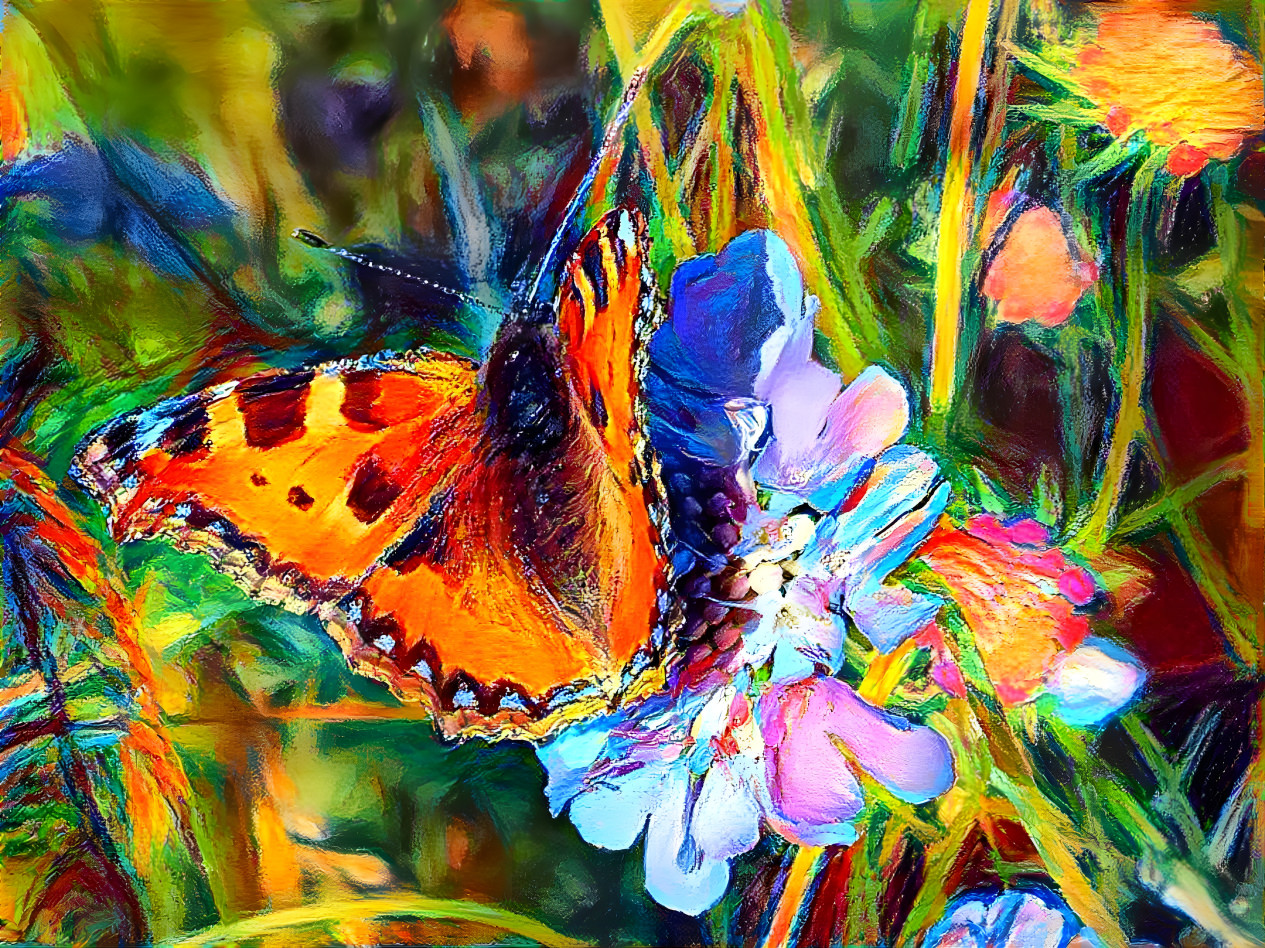 Butterfly