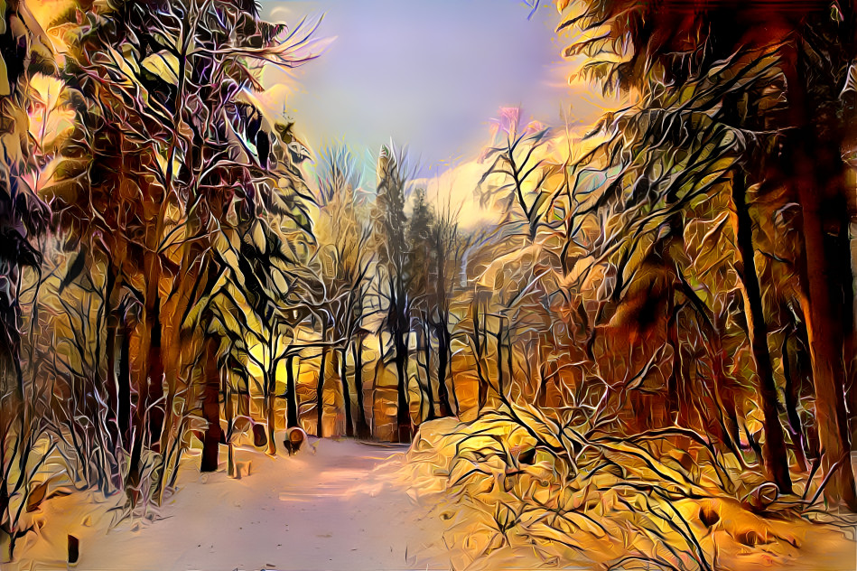 Winter in the Forest