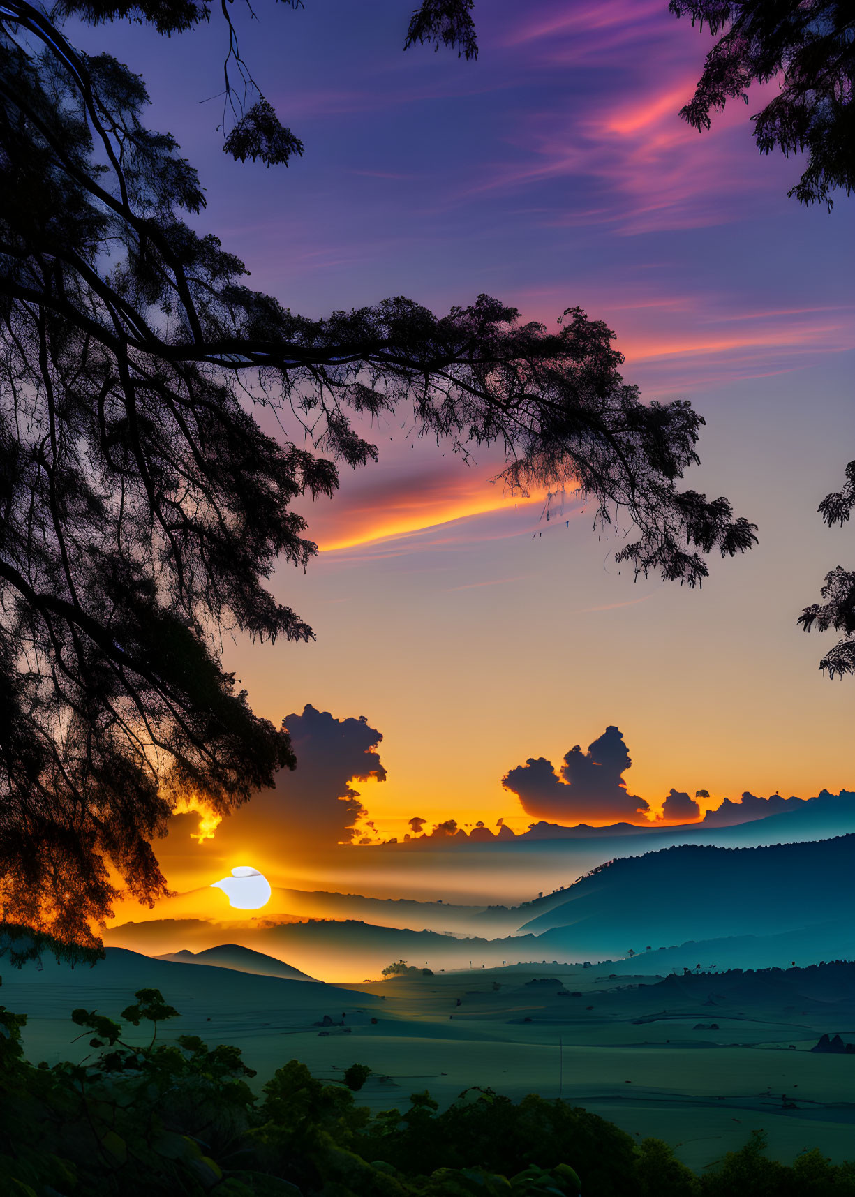 Scenic sunset with purple and orange sky, silhouetted trees, and distant hills