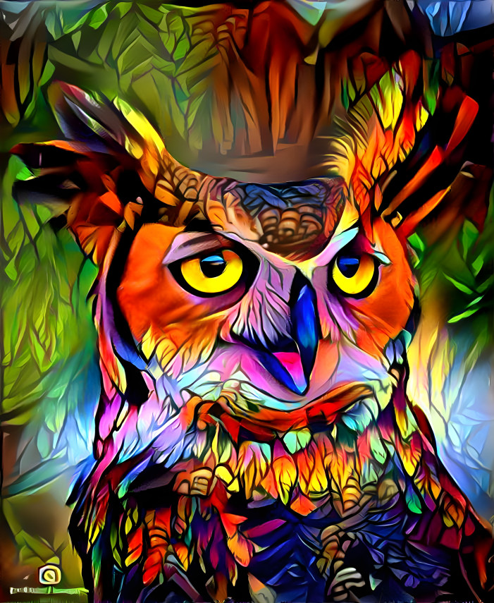 owl