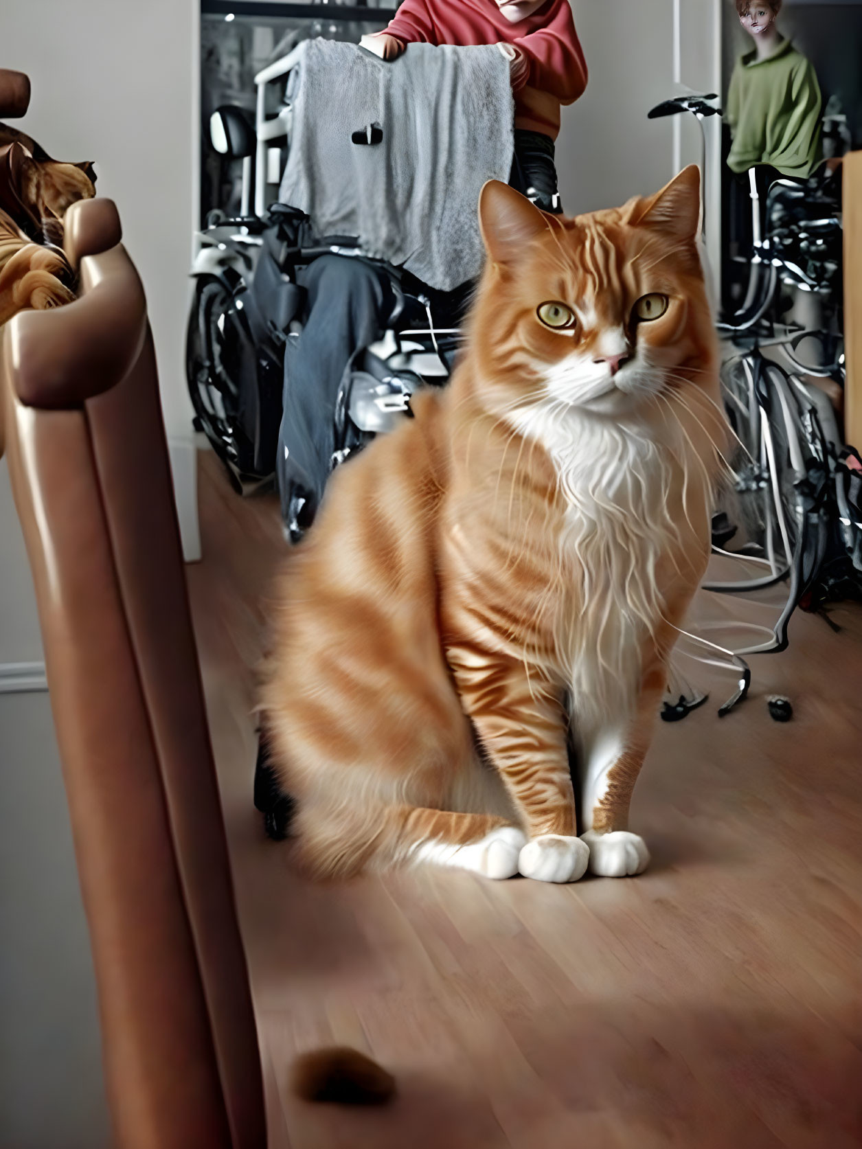 Orange and White Cat Sitting on Wooden Floor with Blurred Background