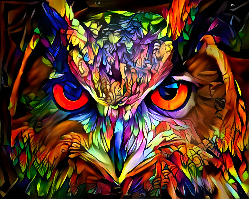 owl