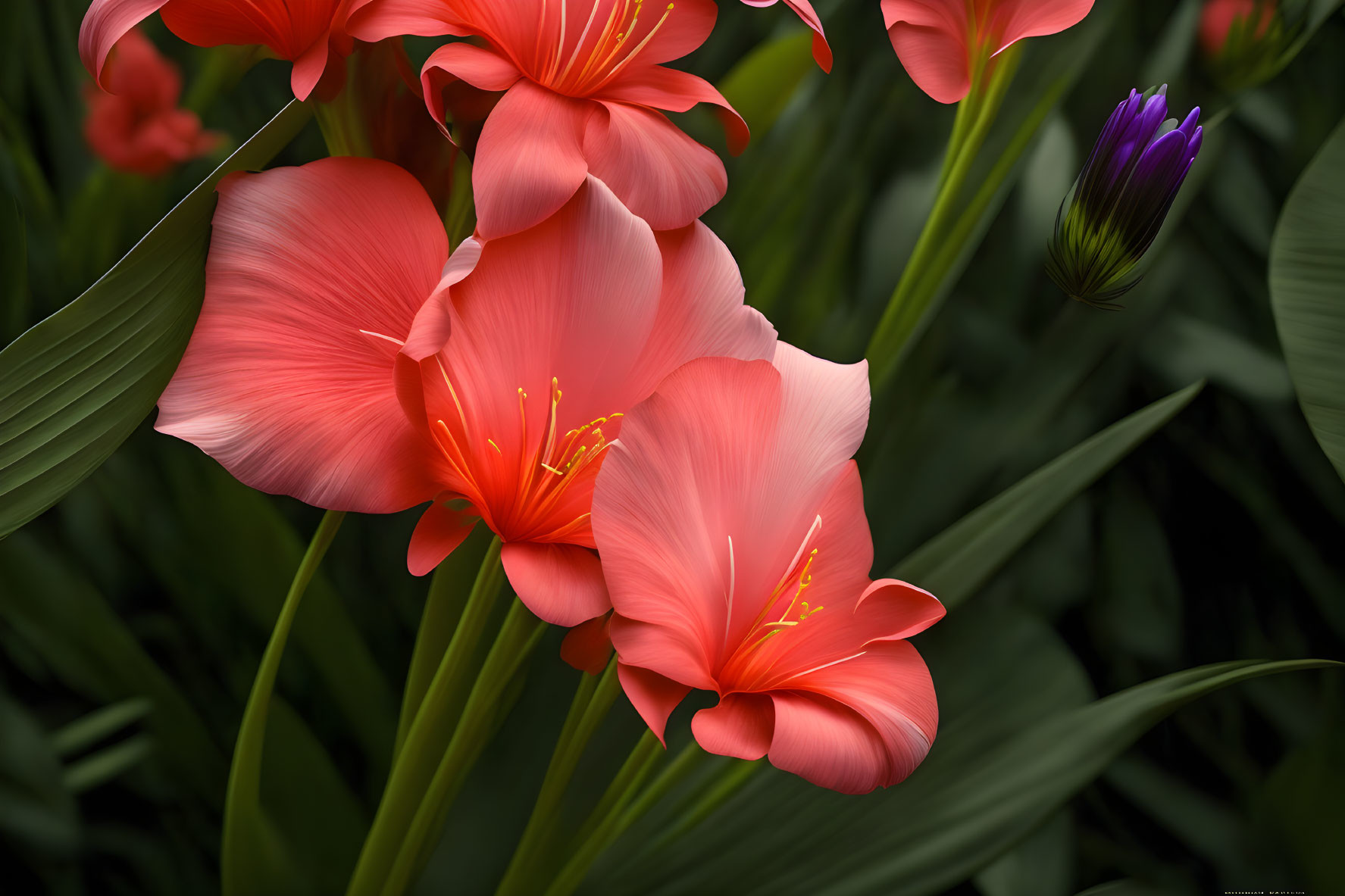 Bright red flowers with yellow stamens on green foliage.