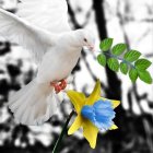 White dove flying with yellow and blue bird near green leaves.