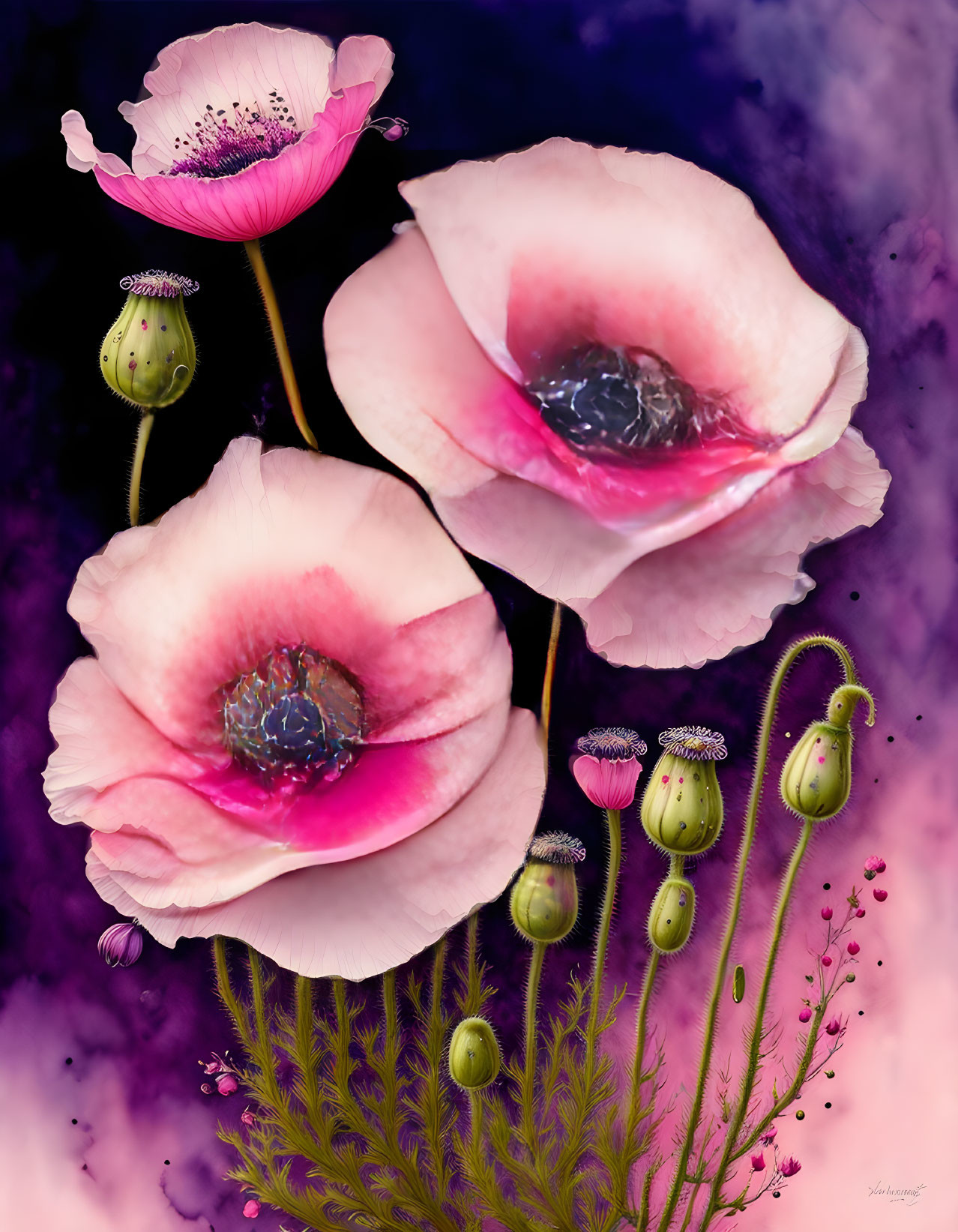 Colorful digital artwork featuring pink poppies on a purple and black background with green elements