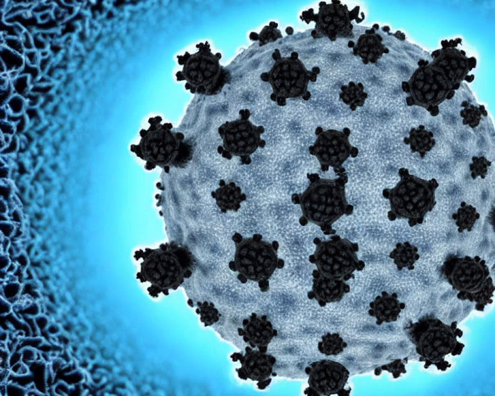 Spherical virus with spike proteins on blue cellular background