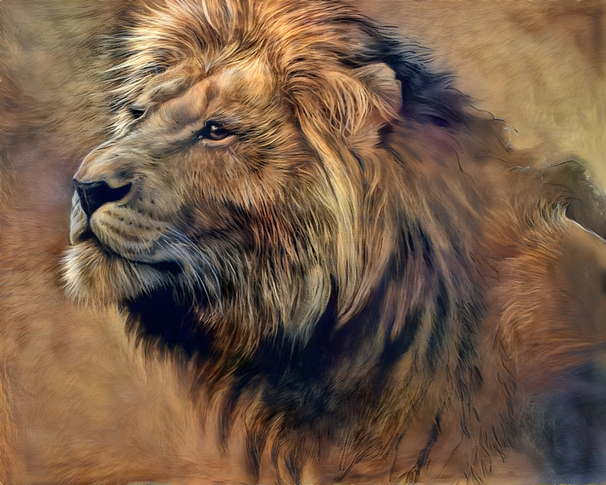 Portrait Of A Lion 