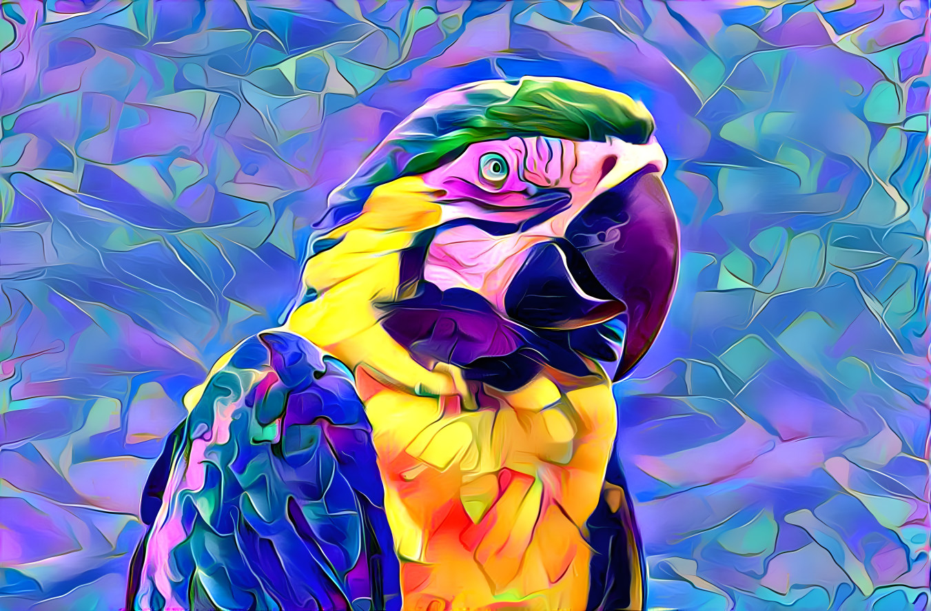 Macaw