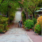 Person with umbrella on wet cobblestone street lined with trees and flowerpots at dusk