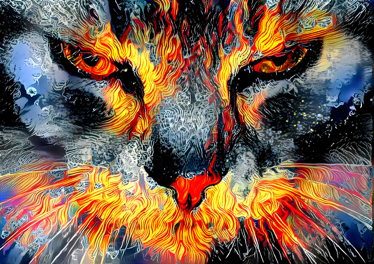 Fiery Feline