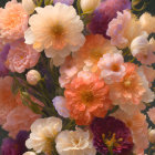 Colorful Floral Painting of White, Orange, and Purple Peonies