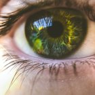 Detailed close-up of eye with jewel-like iris and gem-studded eyelashes.