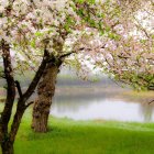 Tranquil autumn lake scene with colorful leaves and misty ambiance