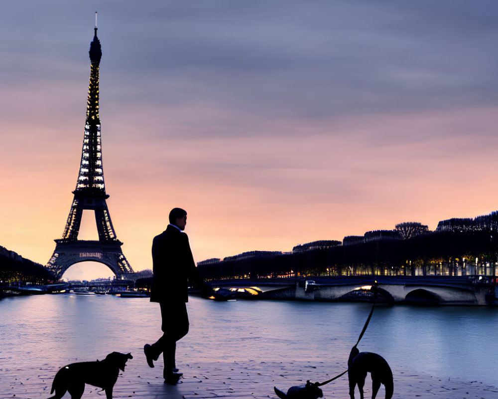 Silhouette of person walking dogs by Seine River with Eiffel Tower at sunset