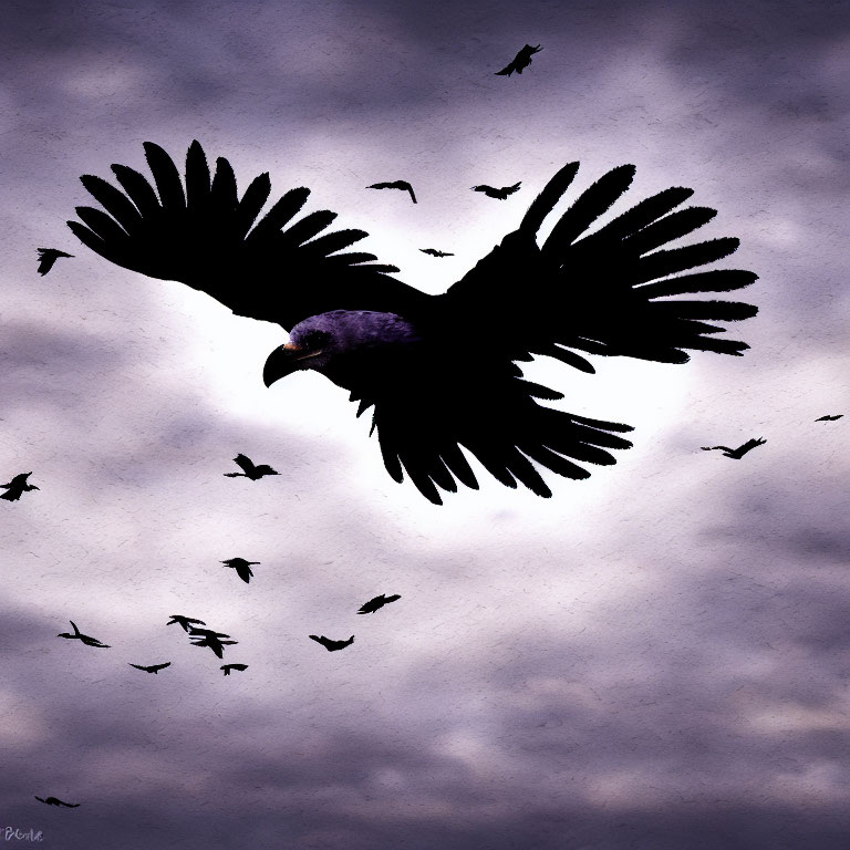 Large Bird Silhouetted Against Purple Cloudy Sky