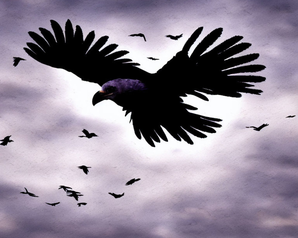 Large Bird Silhouetted Against Purple Cloudy Sky