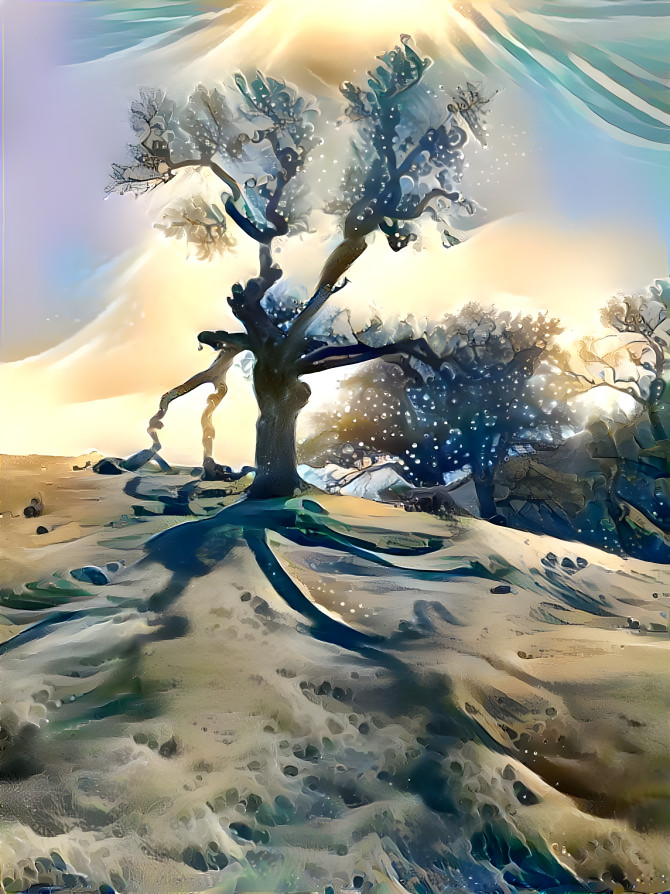 Oak Tree