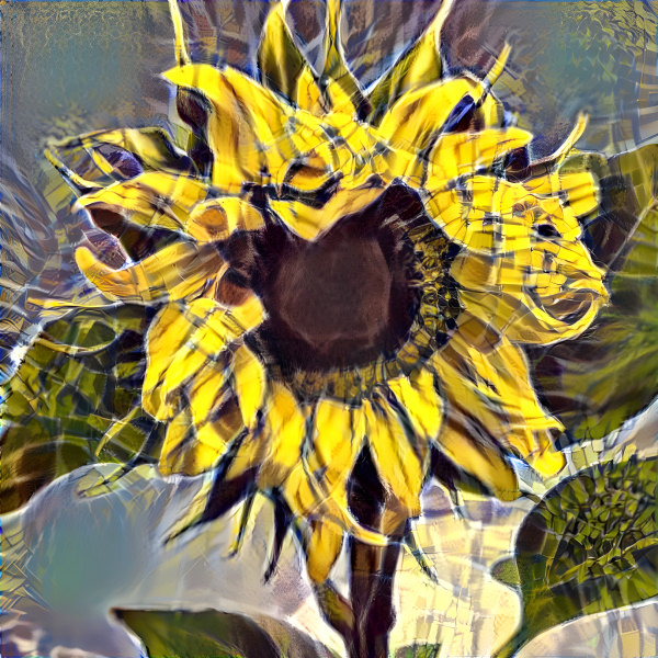 Patterned Sunflower