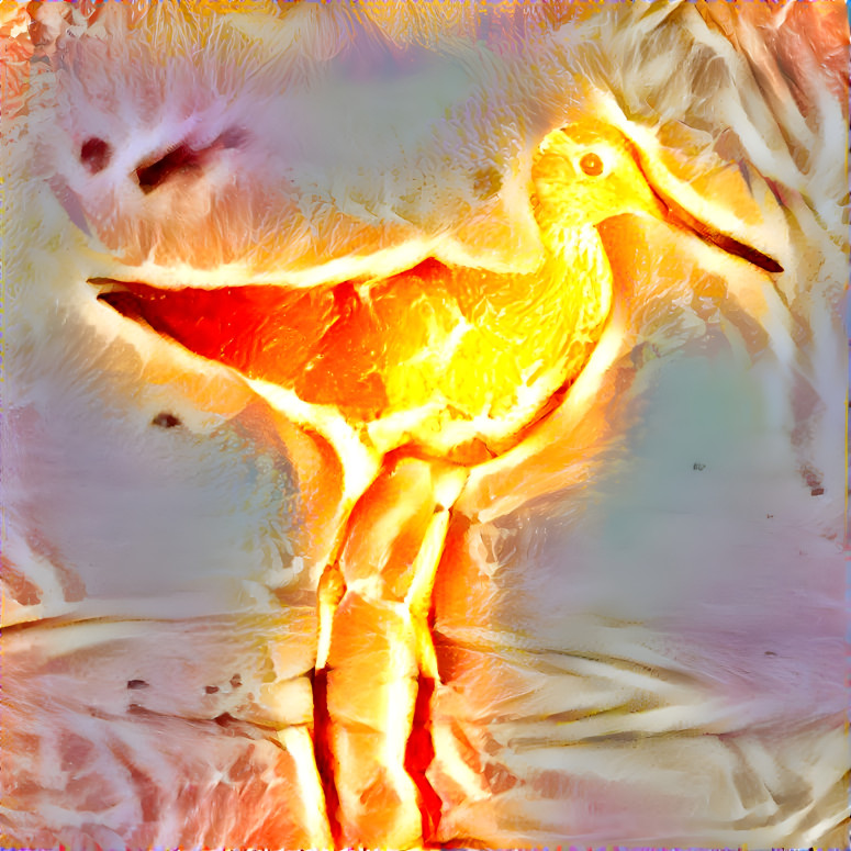 Bird