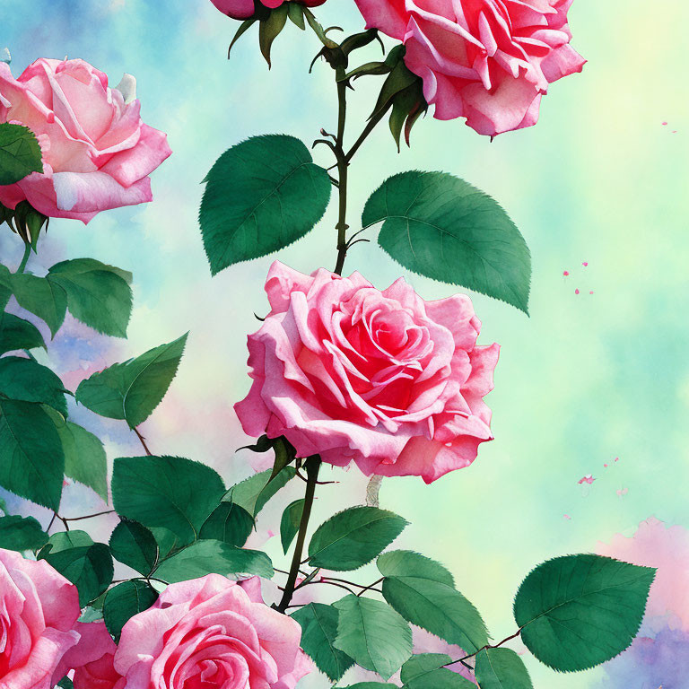 Pink Roses Watercolor Illustration on Speckled Background