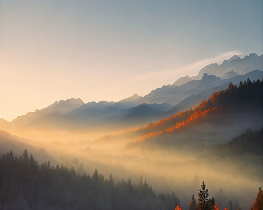 Misty Mountains Sunrise with Autumn Trees Layers