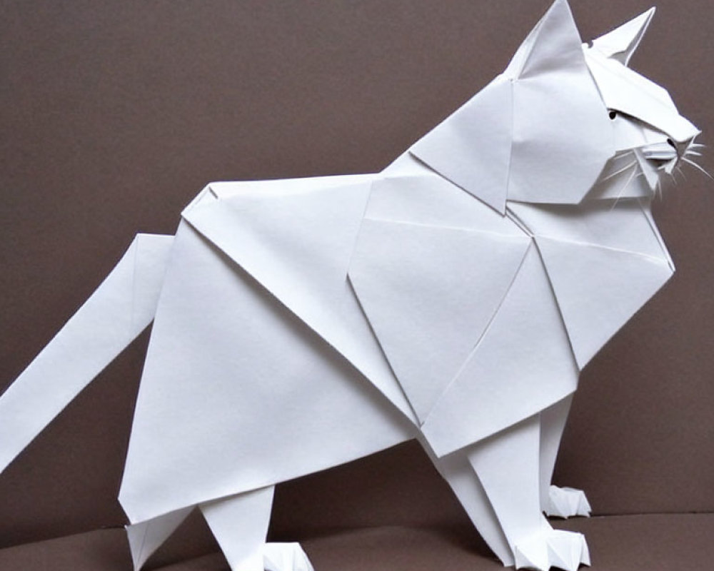 Geometric Origami Model of White Cat