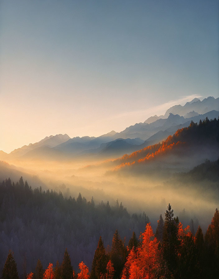 Misty Mountains Sunrise with Autumn Trees Layers