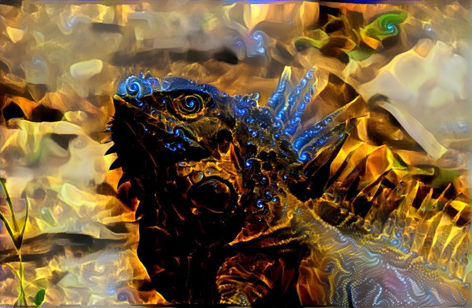 Blue Iguana