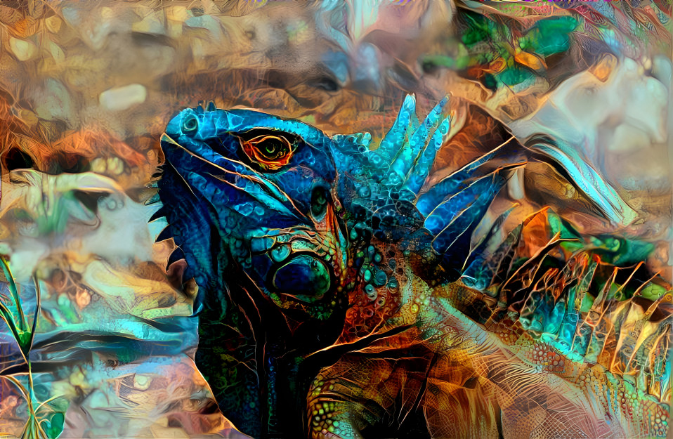 Blue Iguana