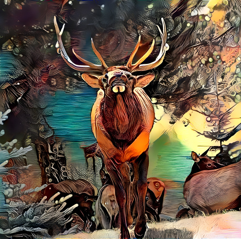 Majestic Elk