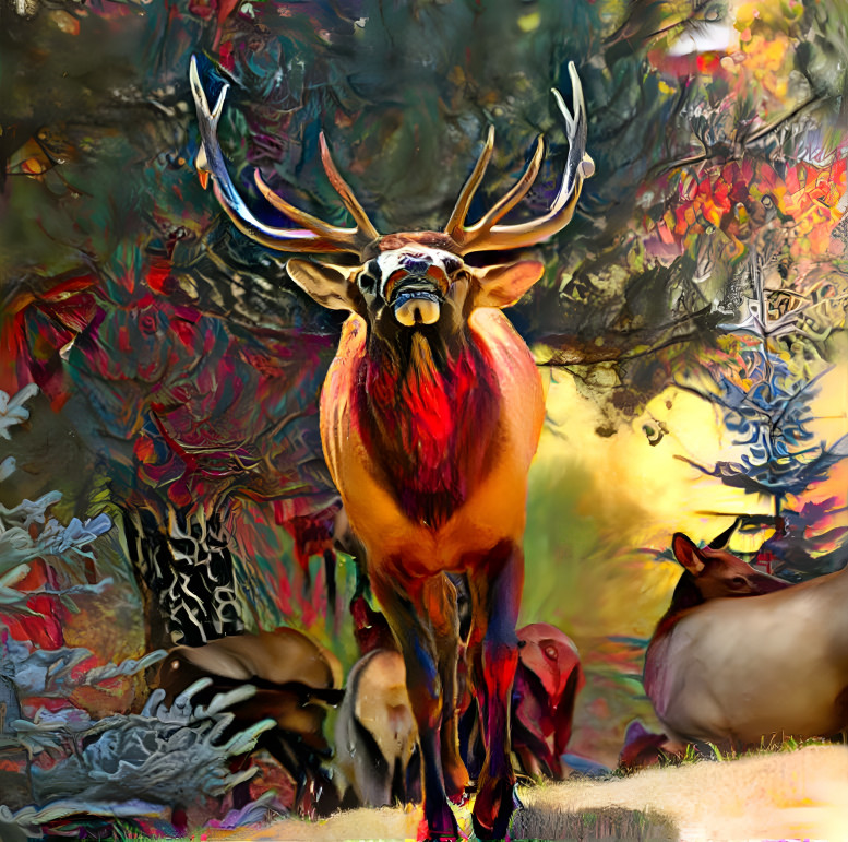 Elk