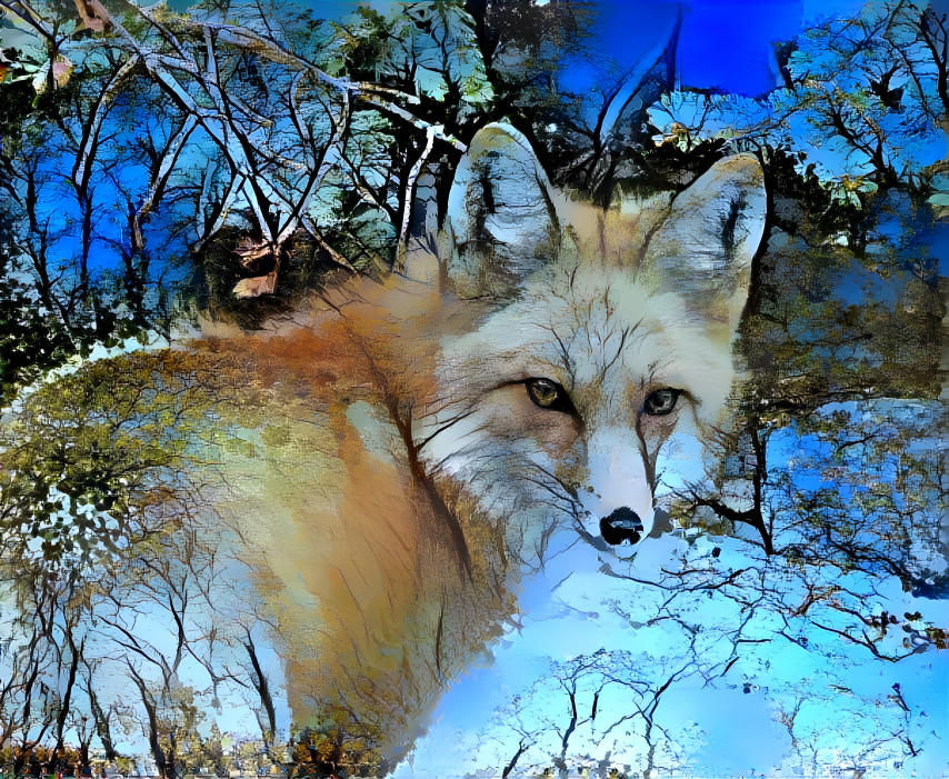 Red fox in Snowy Forest