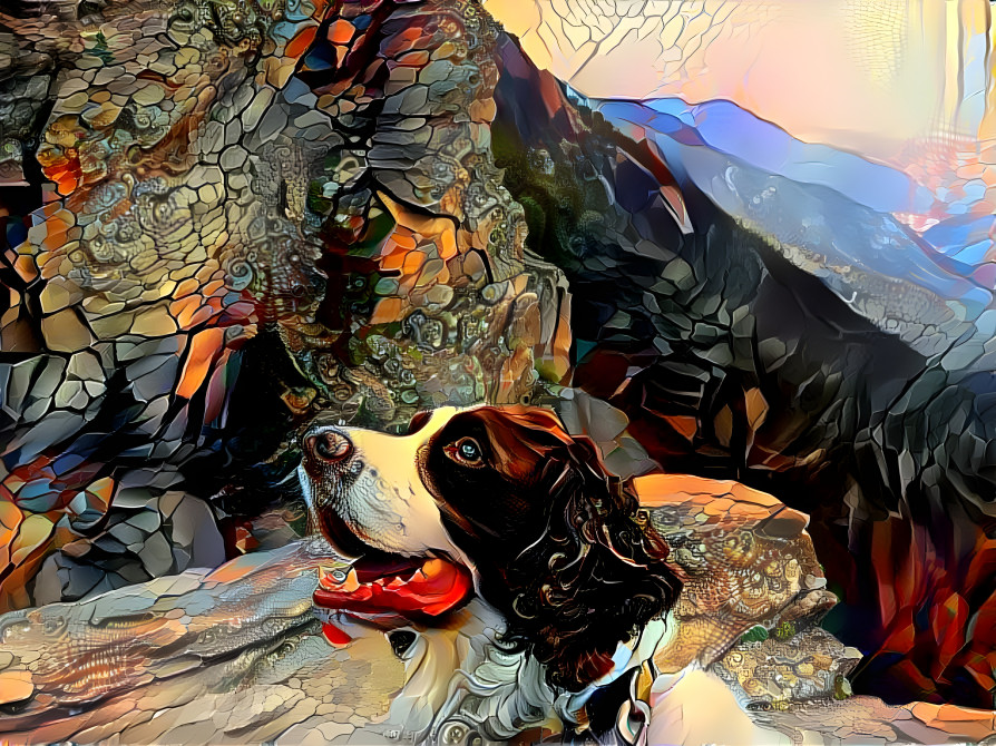 Spaniel on the mountain