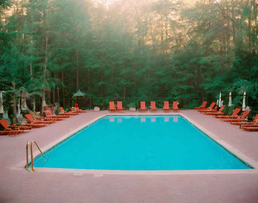 Twilight outdoor swimming pool with lounge chairs and lush green trees