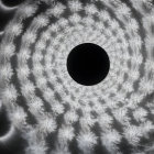 Abstract Monochrome Image: Concentric Circular Patterns with Dark Center