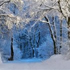 Fantastical landscape with stylized trees, animals, and castle in blues, whites, and gold