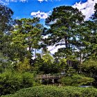 Enchanting Fantasy Forest with Treehouses, Bridge, Lanterns, Birds