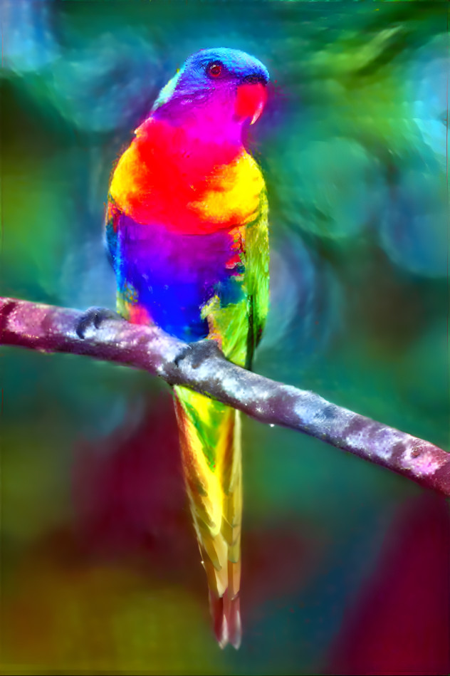 Rainbow Tie-dye lorikeet