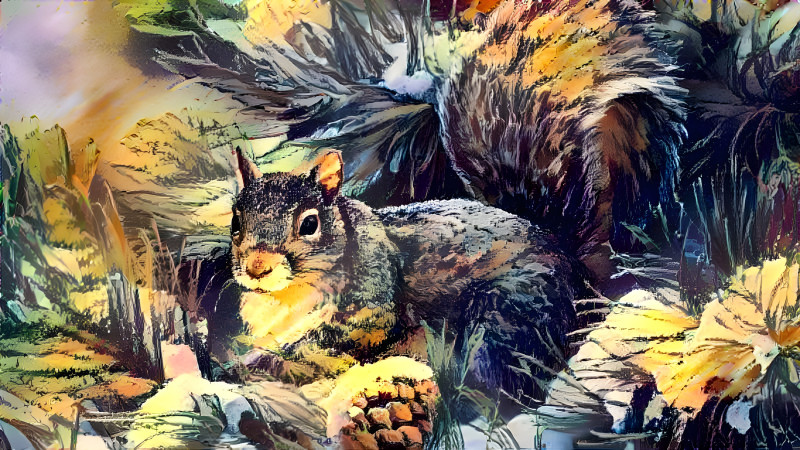 Squirrel