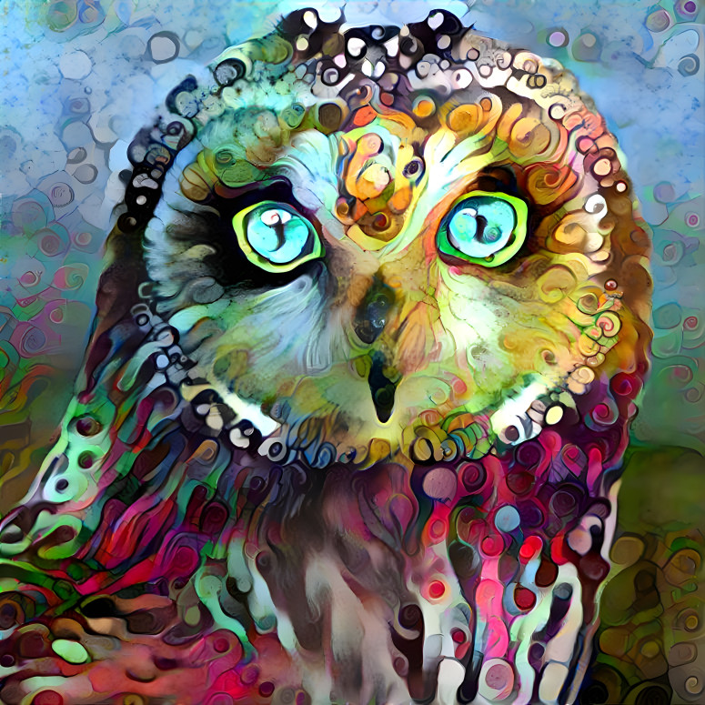 Owl