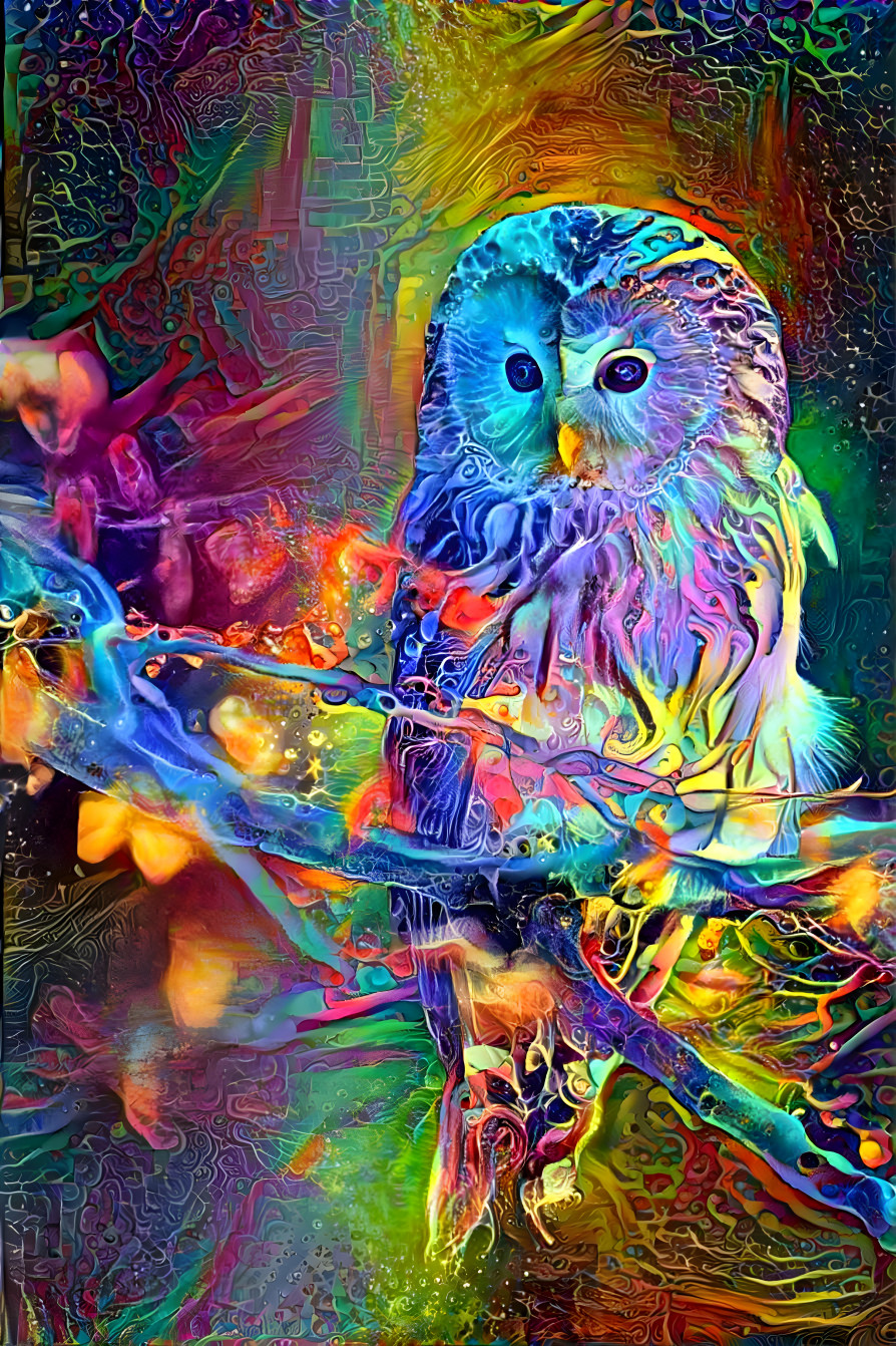 owl dream