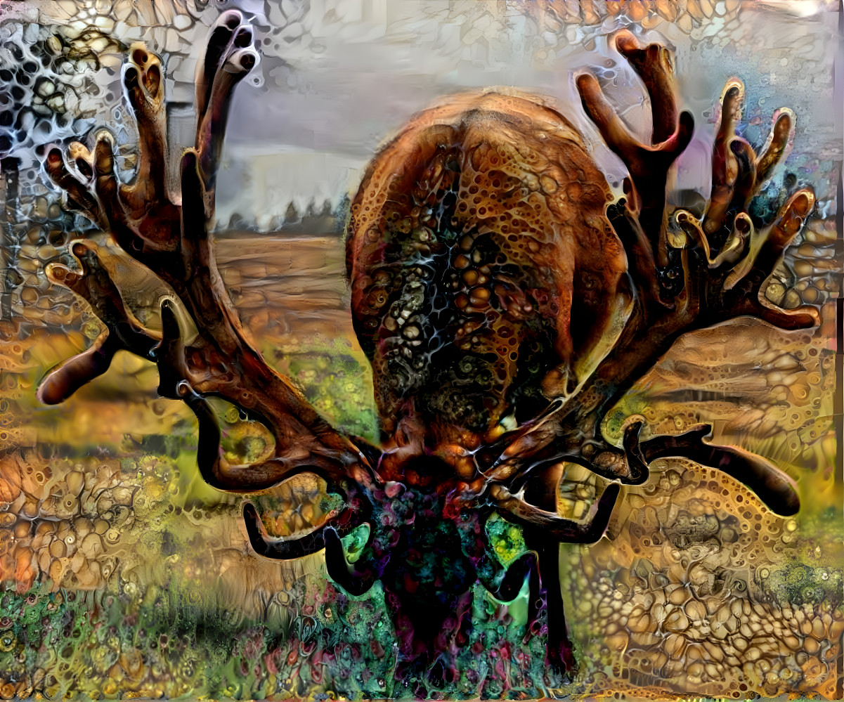 deer