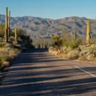 Desert scene with cacti, dirt road, and mountains in watercolor