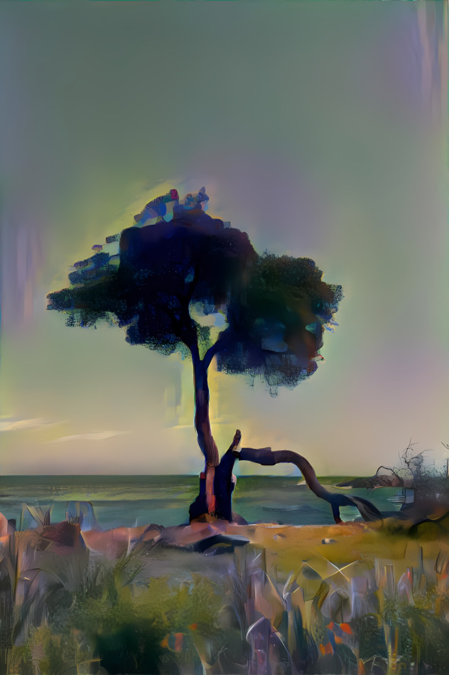 Tree by the ocean