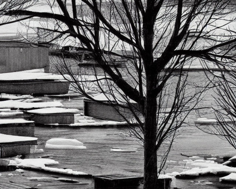 Monochrome winter scene with bare tree near snow-covered steps