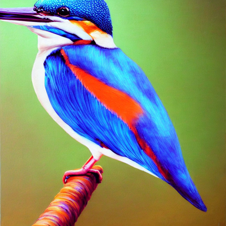 Colorful kingfisher painting on textured branch in green background