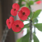 Colorful floral arrangement against tree trunk backdrop